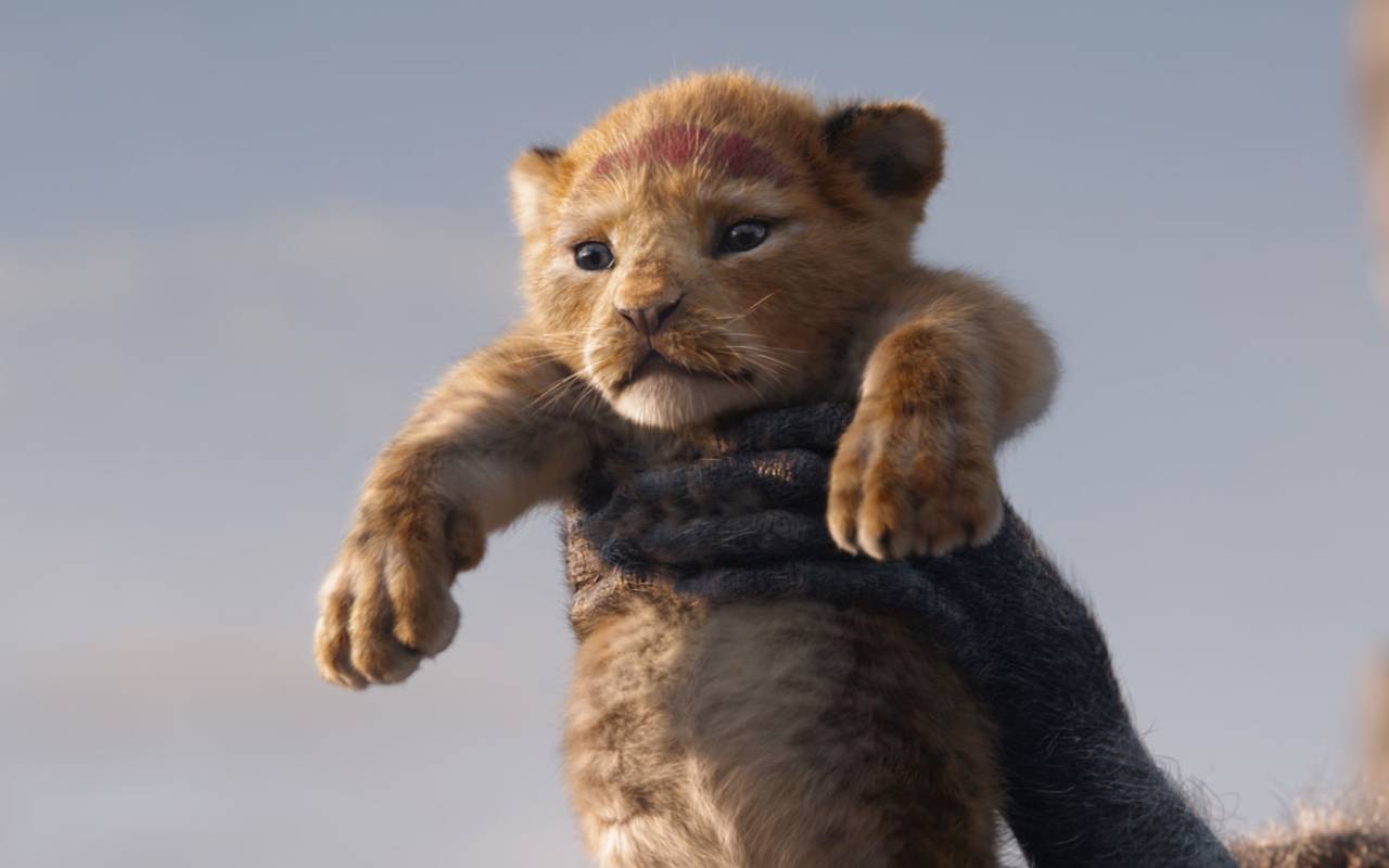 Simba wird in einer Zeremonie offiziell zum Thronfolger erklärt.