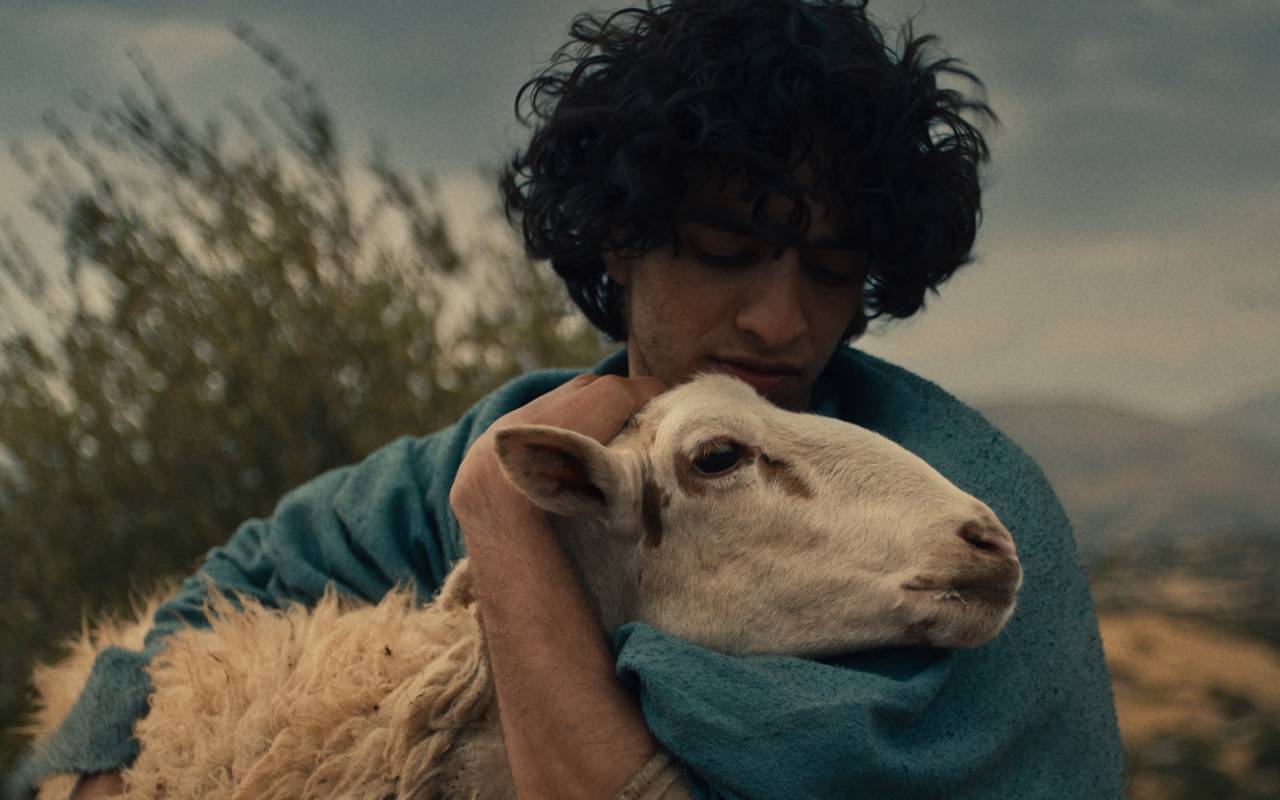 David bei der Arbeit.