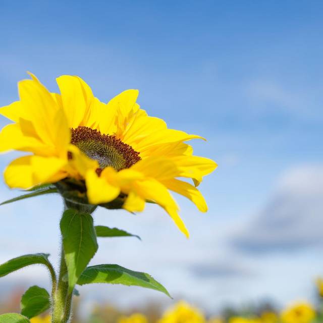 Bis zu 20 Grad am Donnerstag