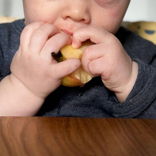 Ein sieben Monate altes Babz isst einen Apfel