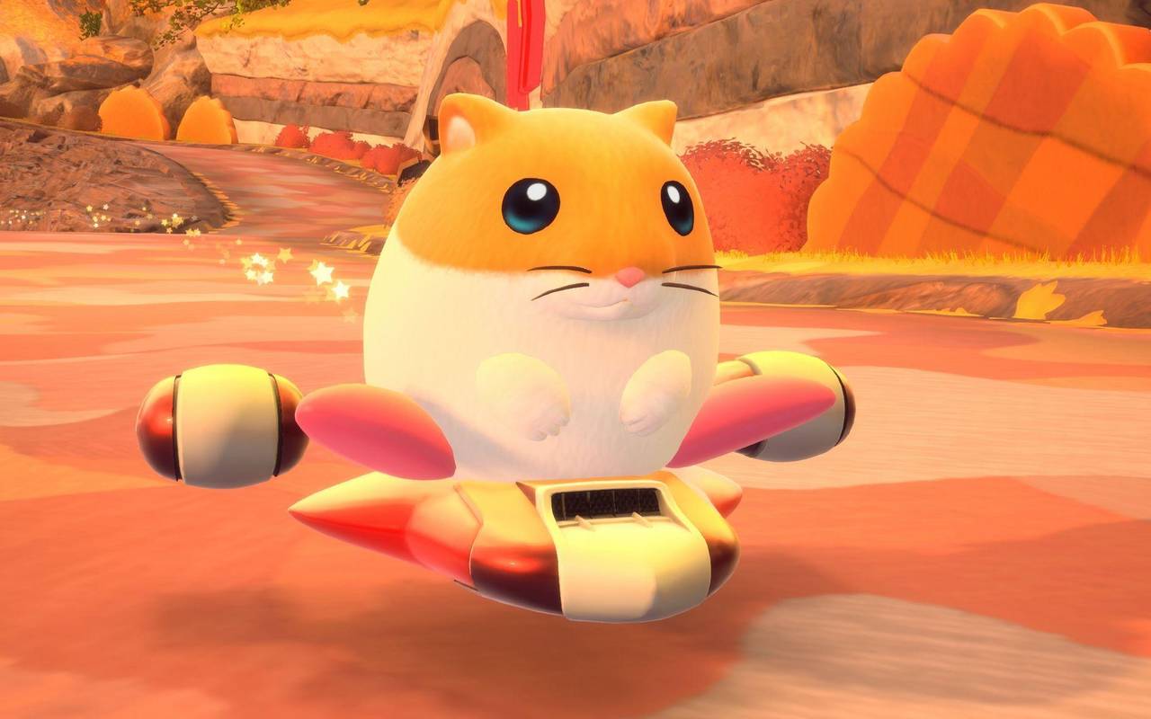 Screenshot aus dem Spiel «Kirby Air Riders»