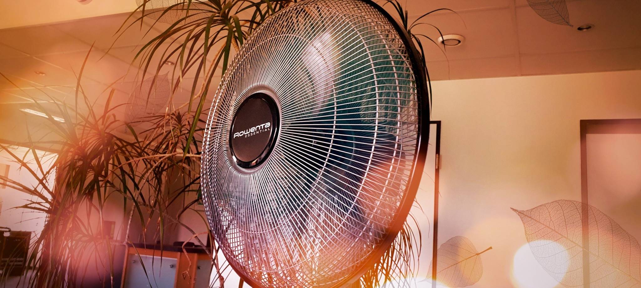 Hitze im Büro: Hitzefrei gibt's nicht