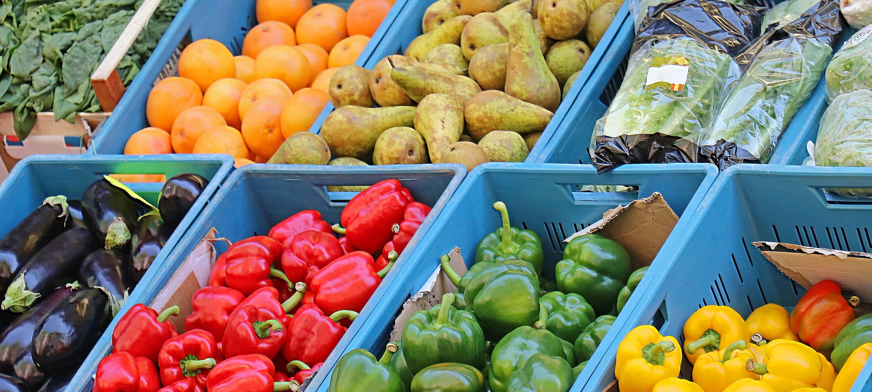 Eine App gegen Lebensmittelverschwendung