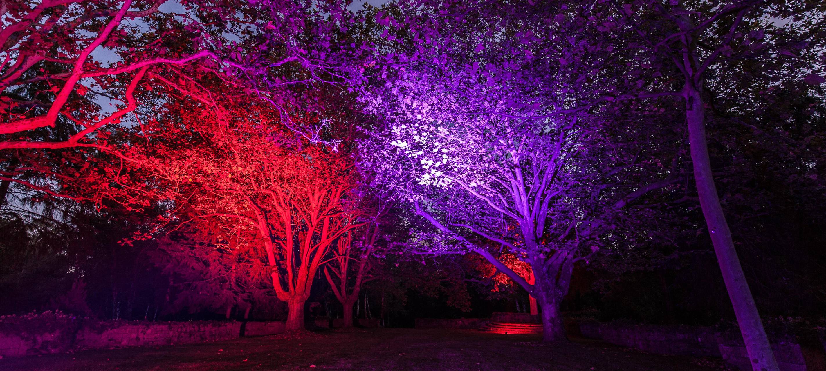 Lichter-Aktion am Hauptfriedhof