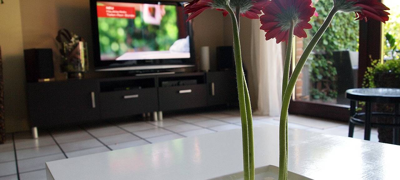 Putzinfluencerin gibt Tipps zum richtigen Aufräumen