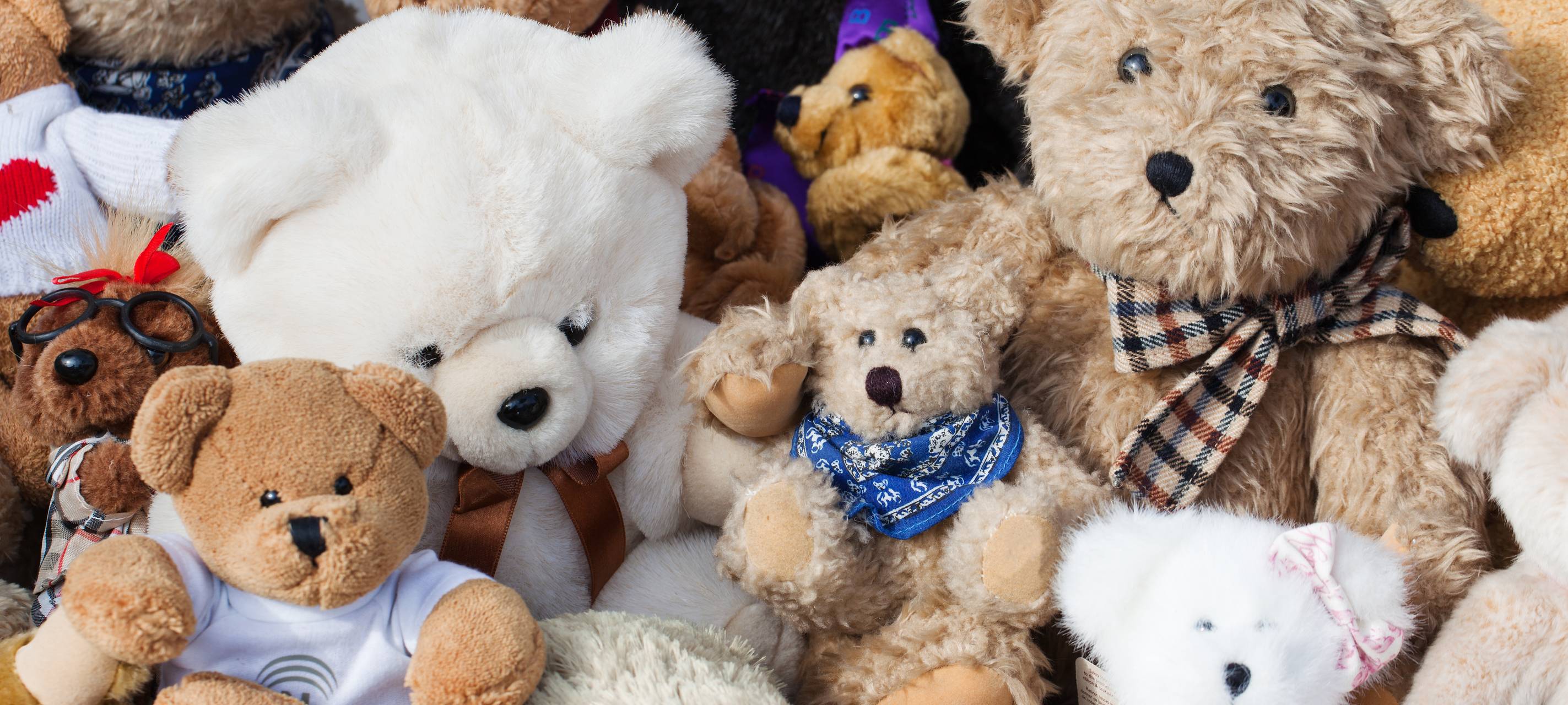 Eure Geschichten zu Kuscheltieren