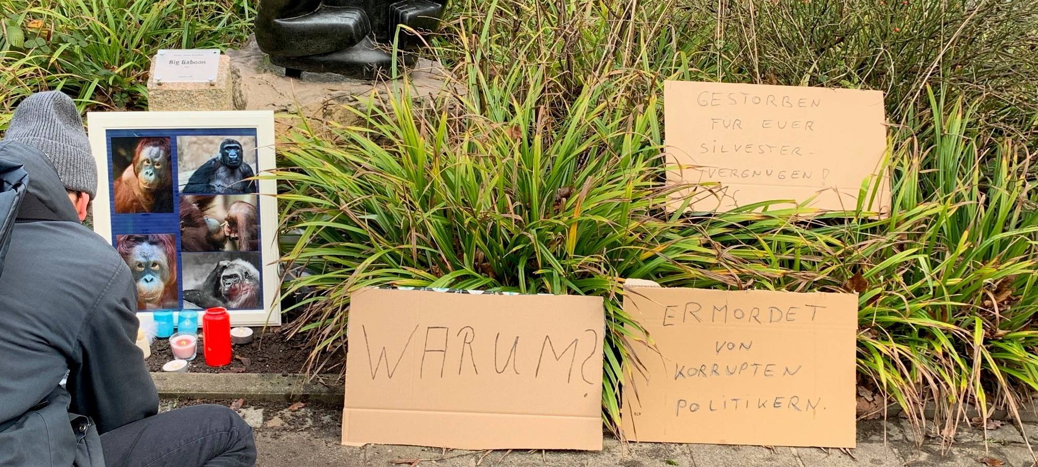 Viele Spenden für Krefelder Zoo