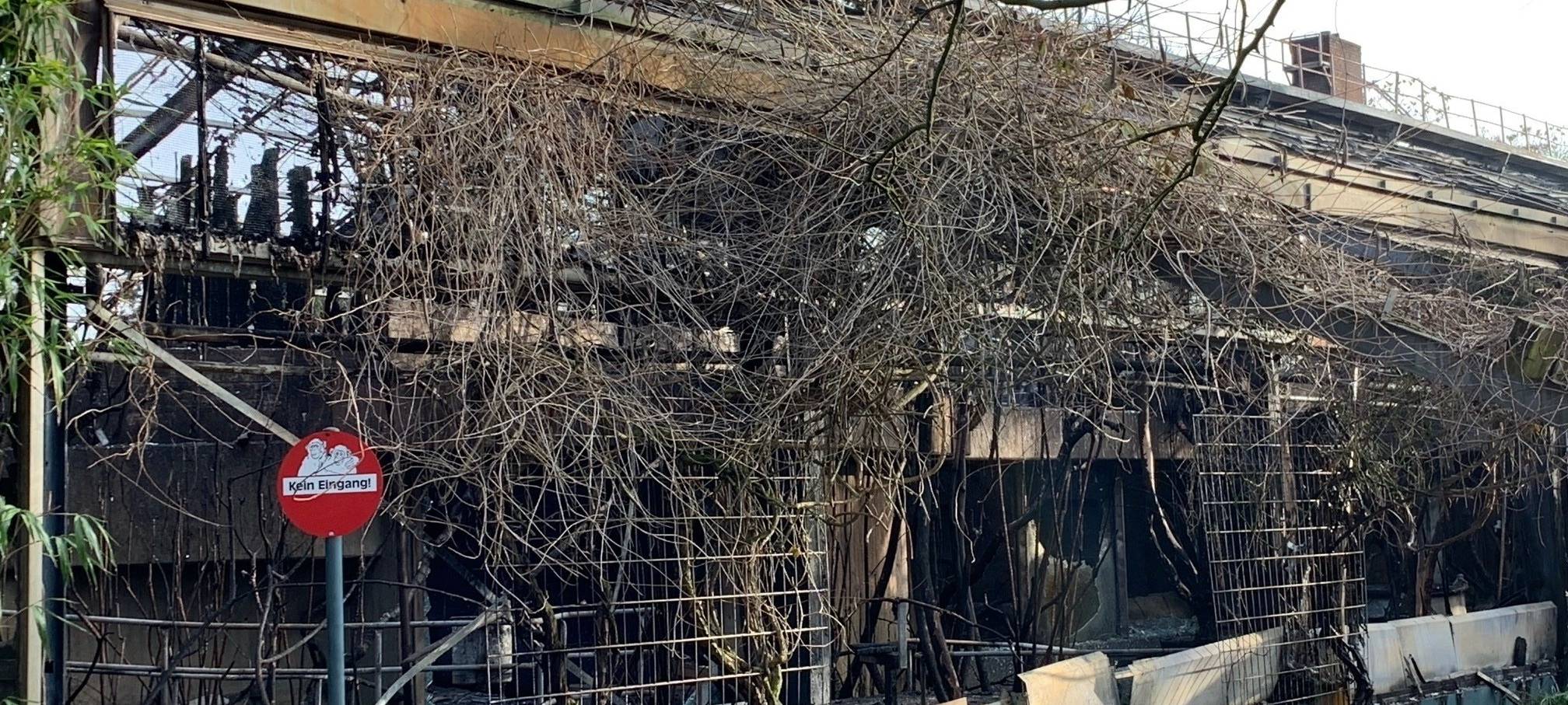 Brand in Krefelder Affenhaus: Ermittlung gegen drei Frauen