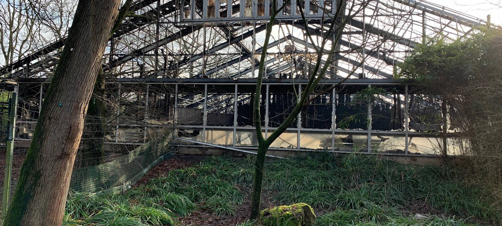 Himmelslaternen: Verkaufsstop