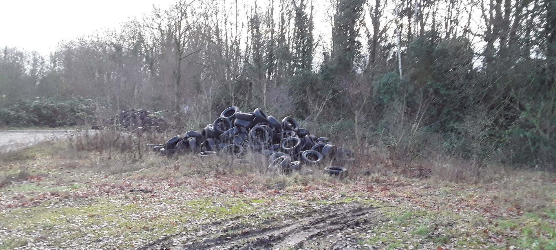 Über 350 Altreifen illegal abgeladen