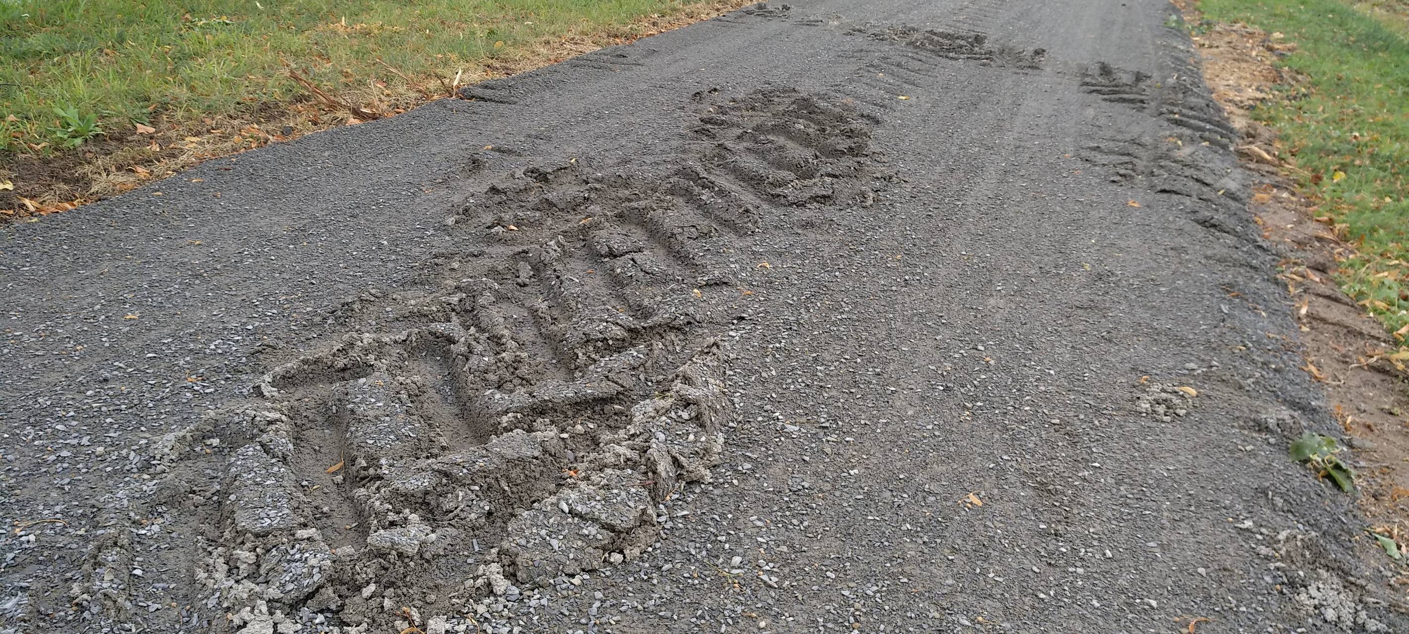 Linke kritisiert Schotterwege