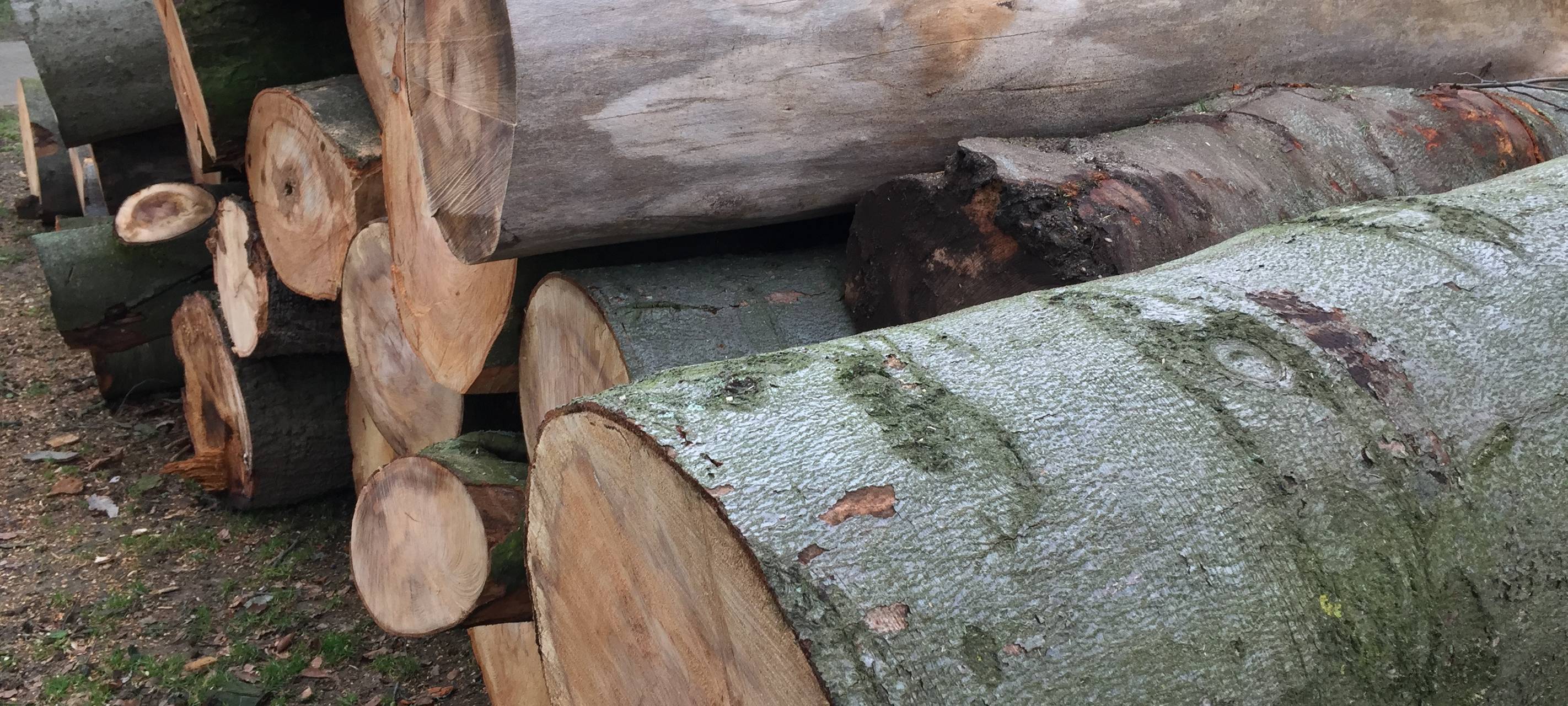 Materialengpässe bei Holz, Öl und Metall