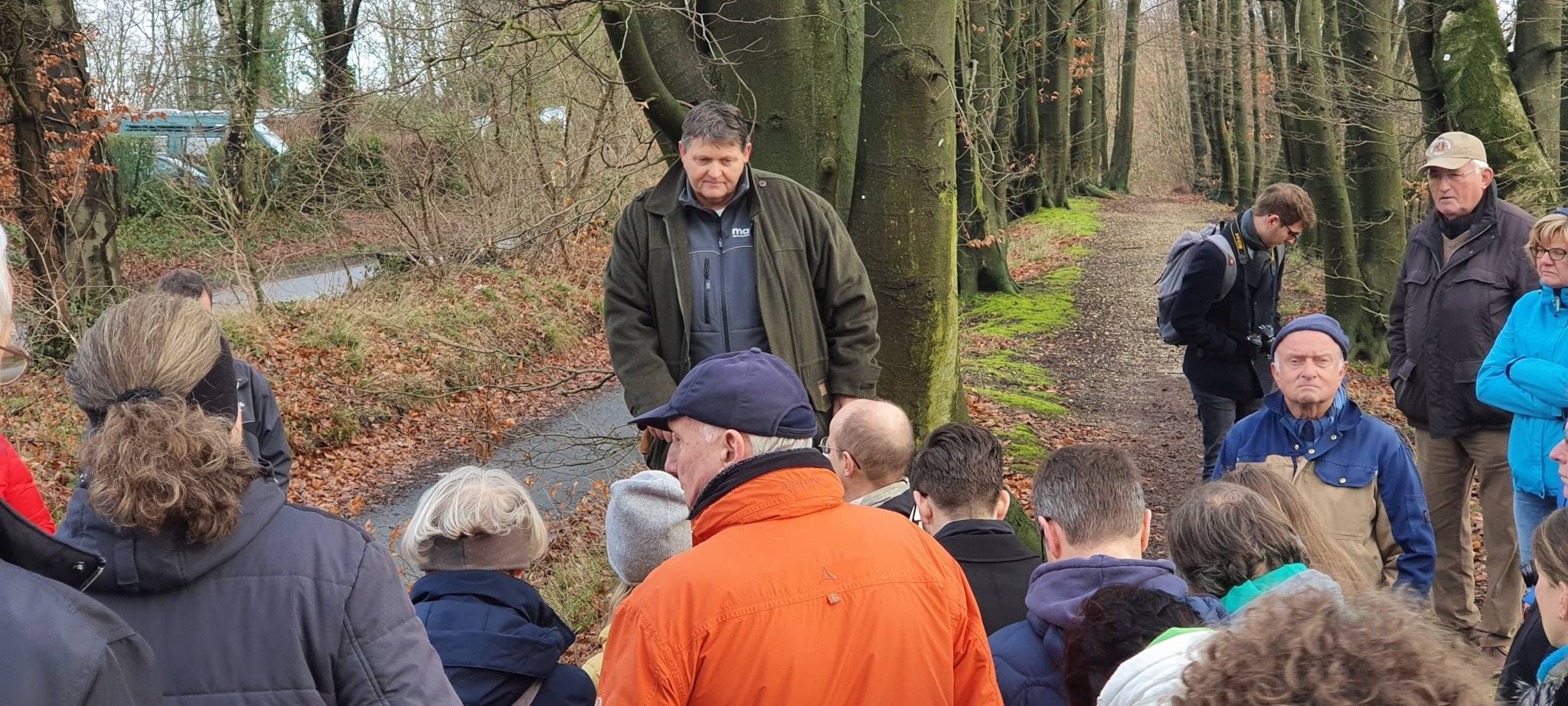 Baumfällungen Dahler Landwehr