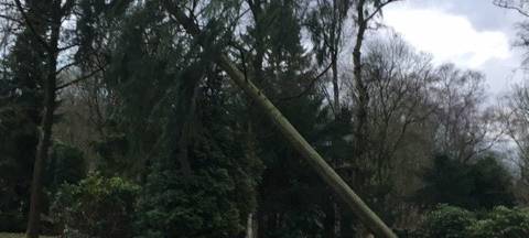 Sturmschäden = Versicherungsfälle