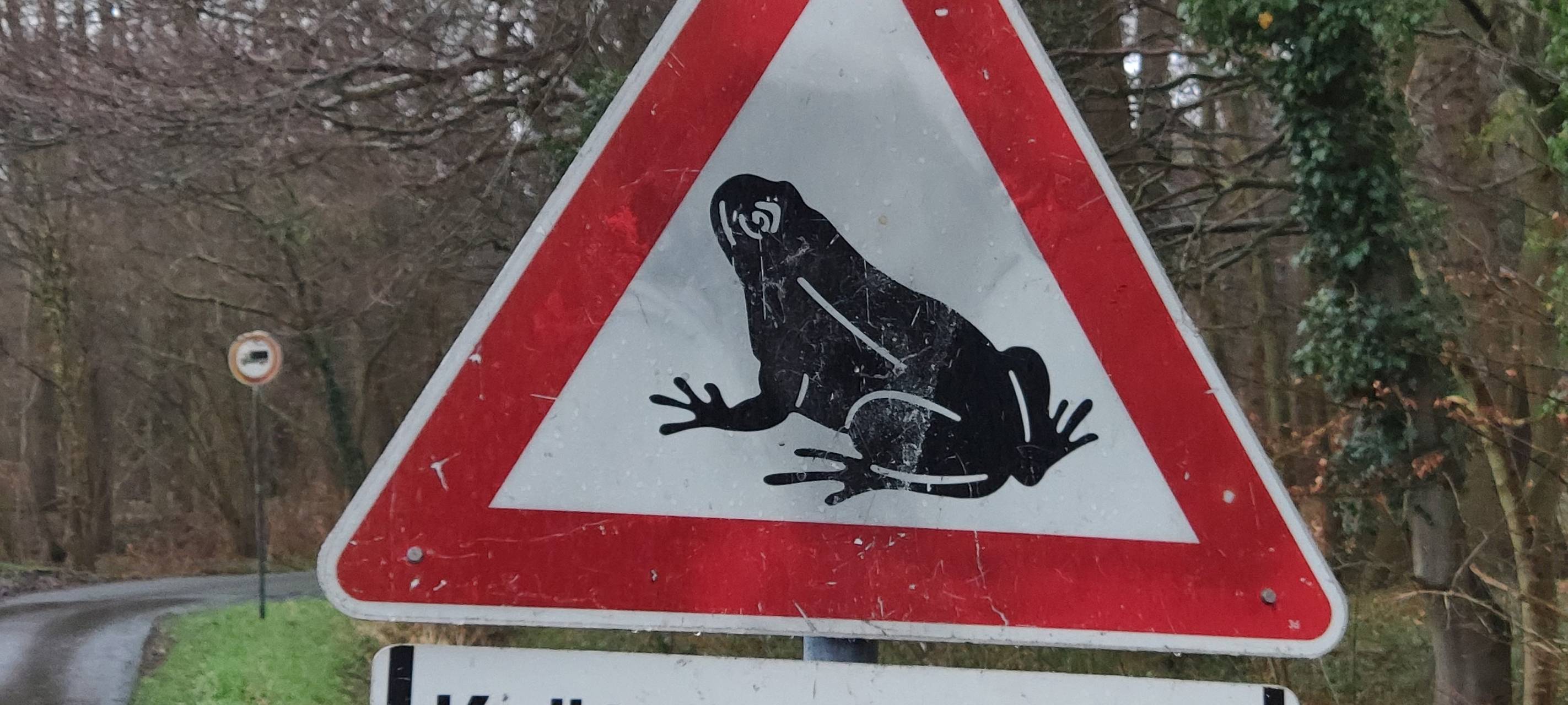 Stadt verzeichnet Naturschutz-Erfolg