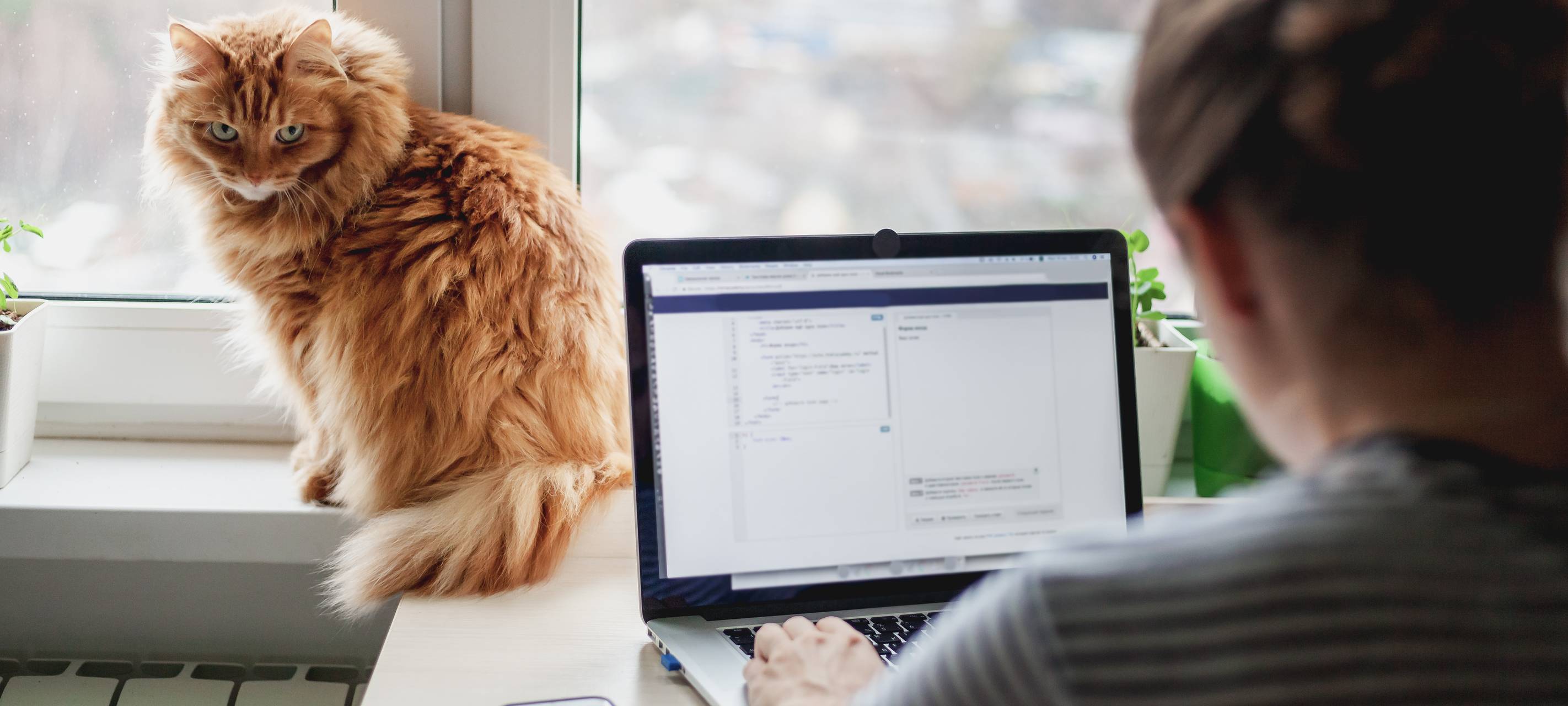 So verhindert ihr, dass Meta eure Daten für KI benutzt