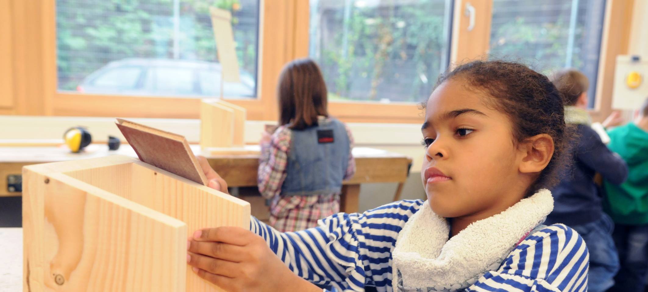 Tischlerinnung will Vogelbestand retten