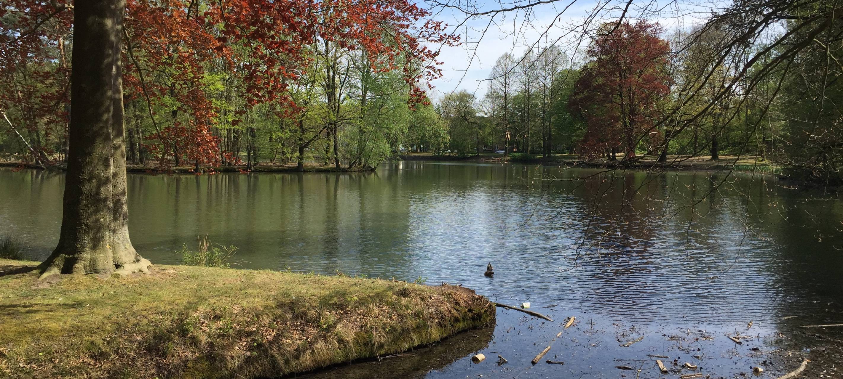 Waldbrandbekämpfung in NRW