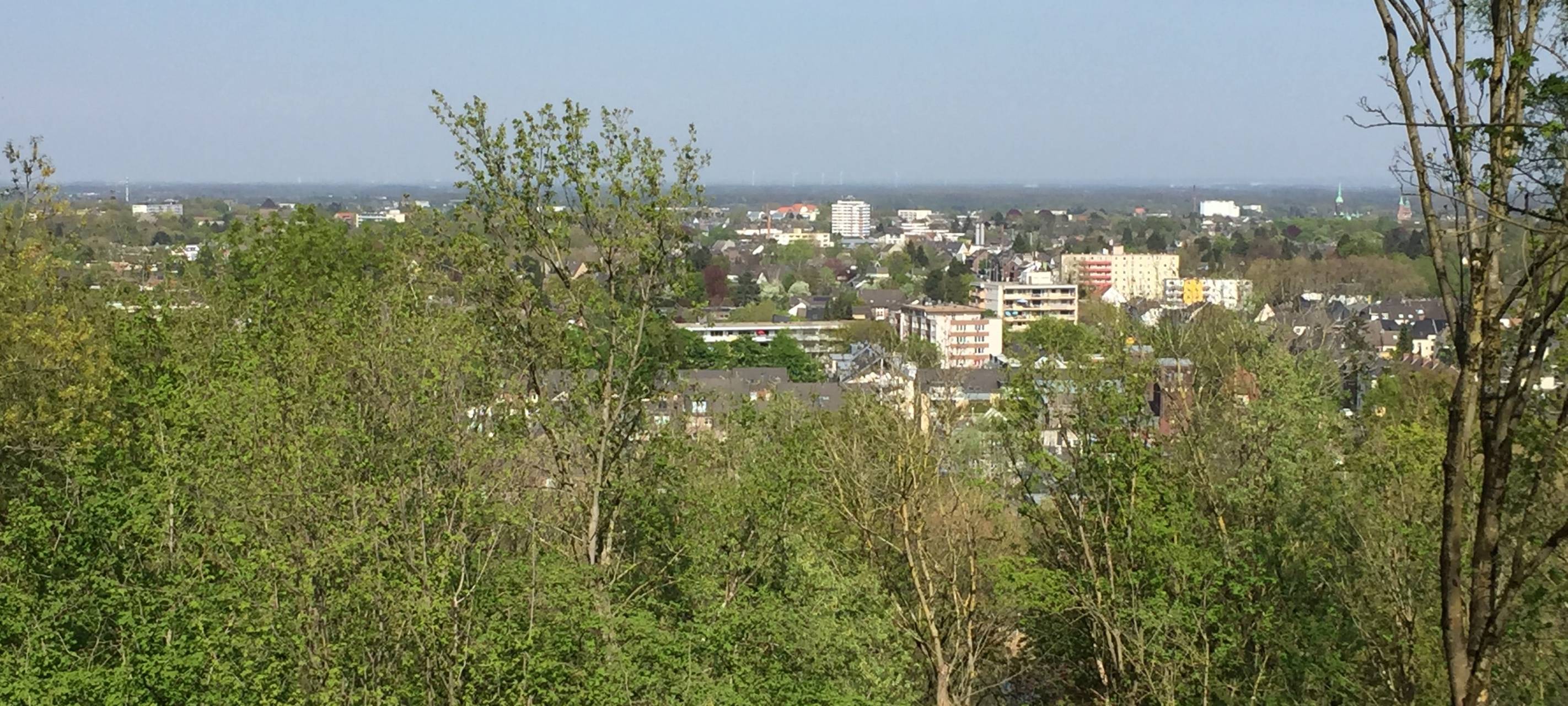 Immer weniger Wald im Stadtgebiet