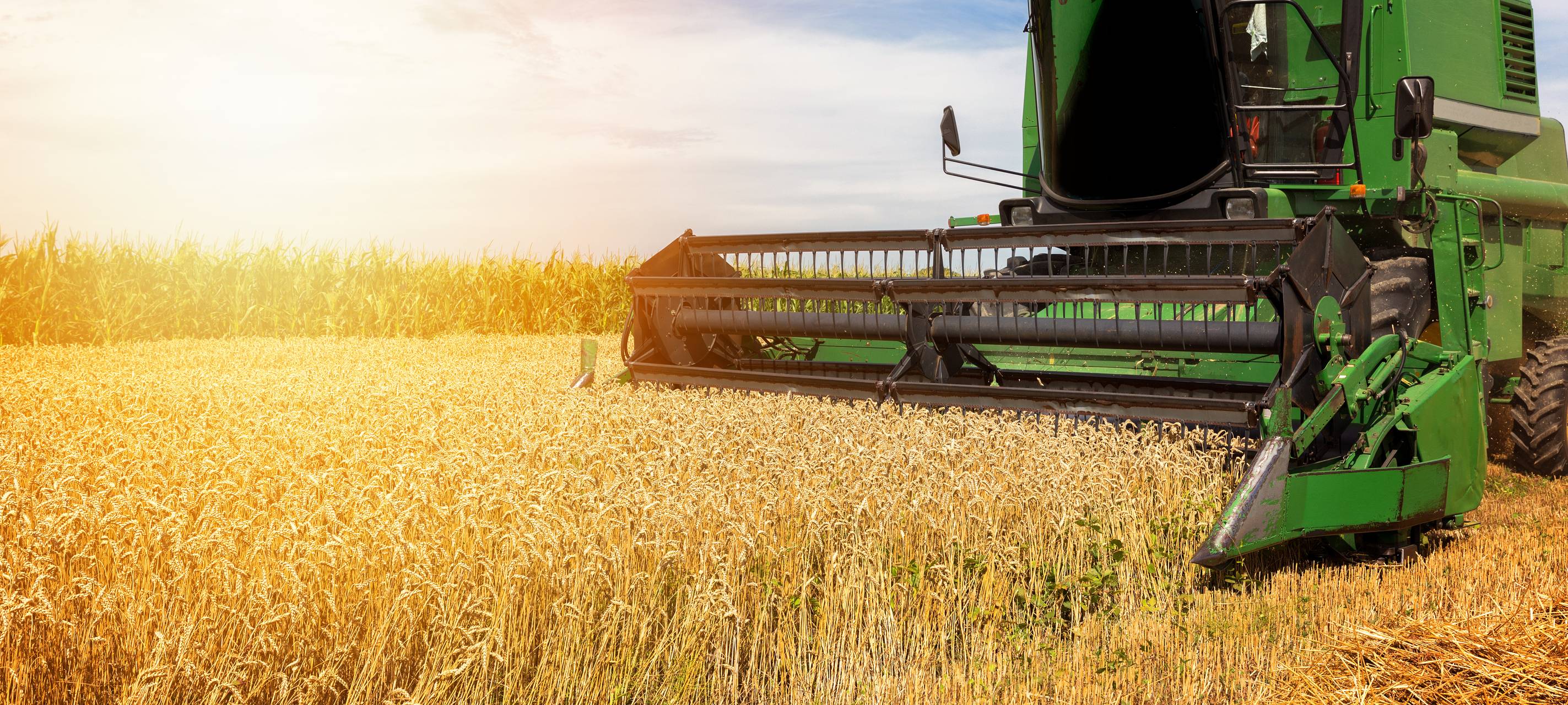 IG-Bau fordert besseren Schutz für Erntehelfer