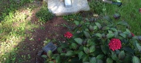 Vandalismus auf dem Hauptfriedhof