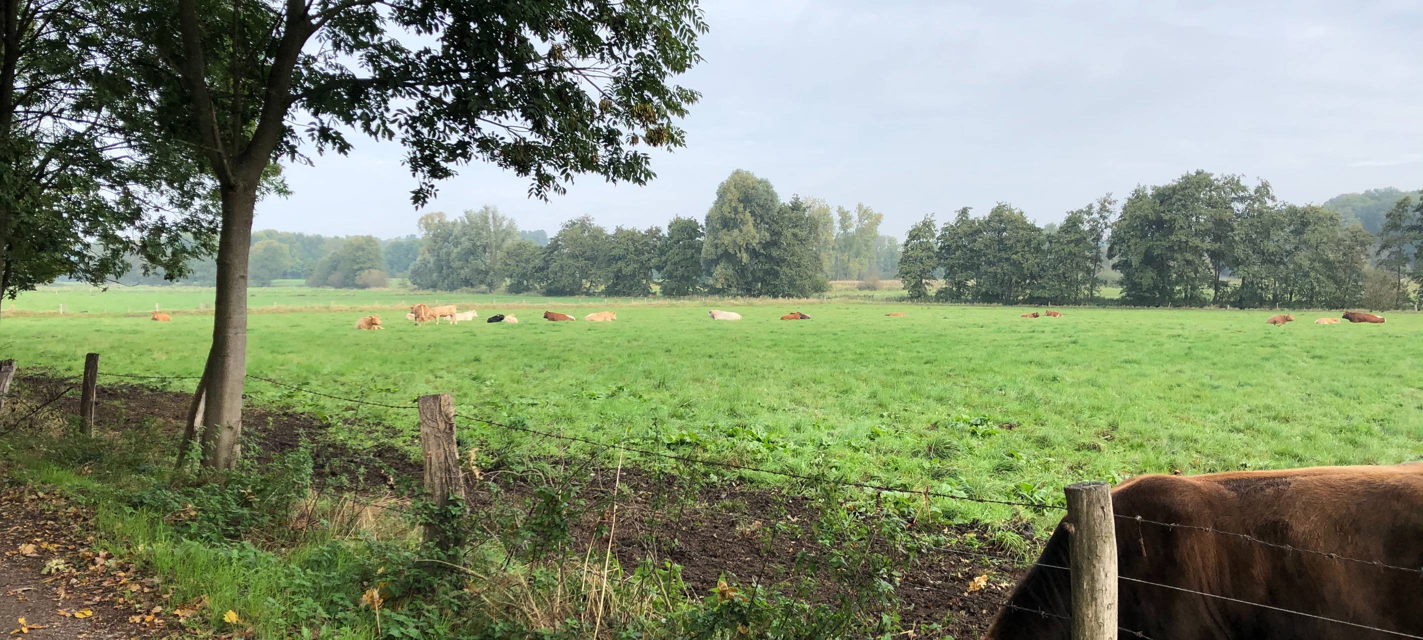 Herbst-Hits und Ferien-Tipps