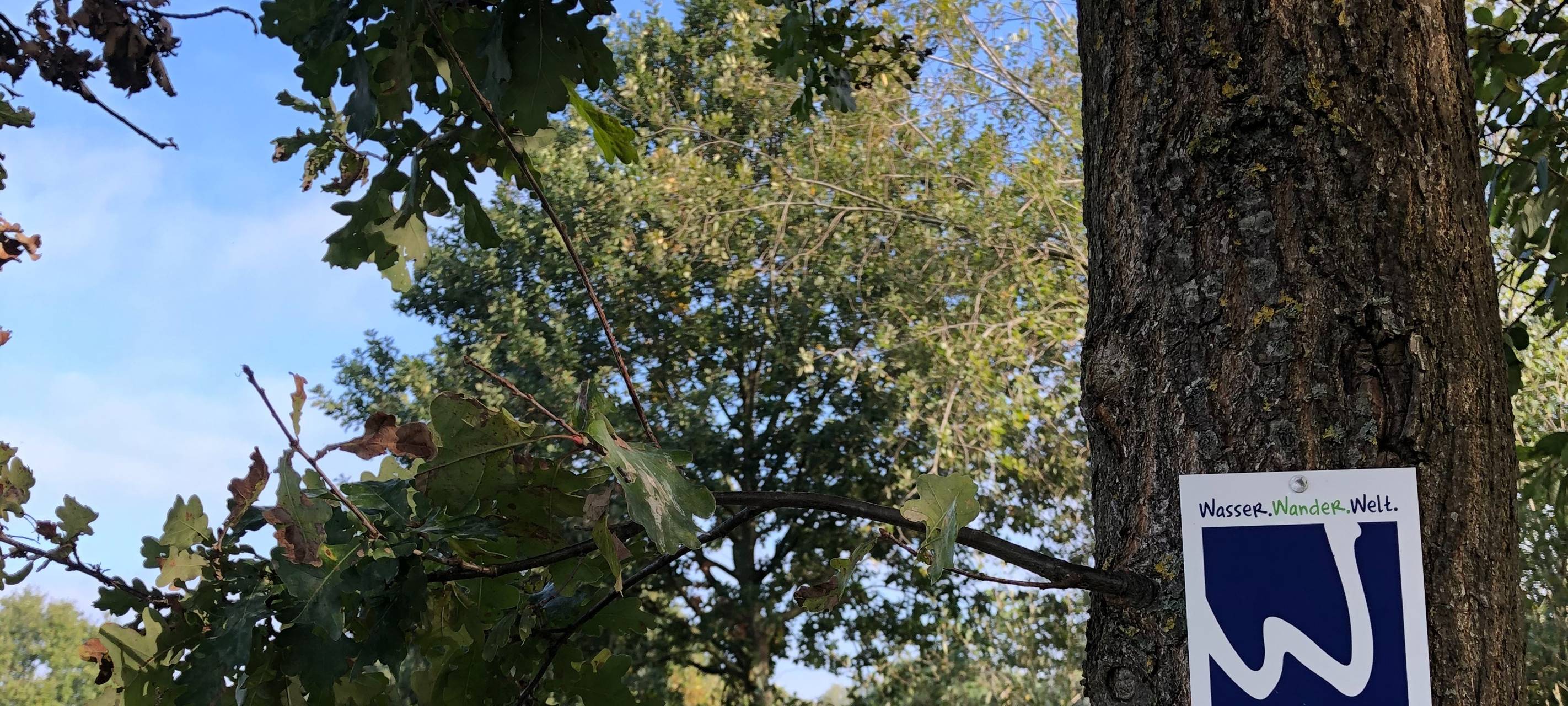 Herbst-Hits und Ferien-Tipps