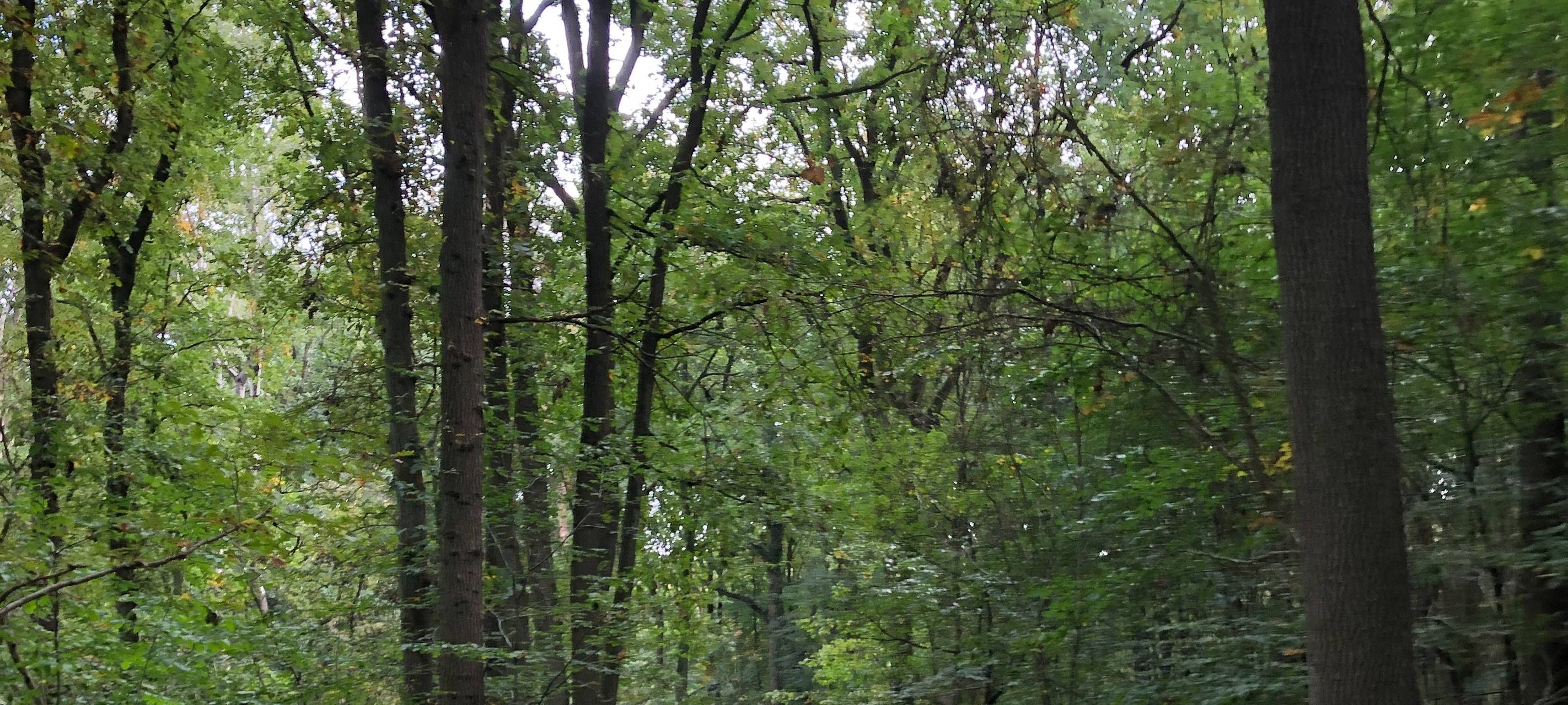 Herbst-Hits und Ferien-Tipps