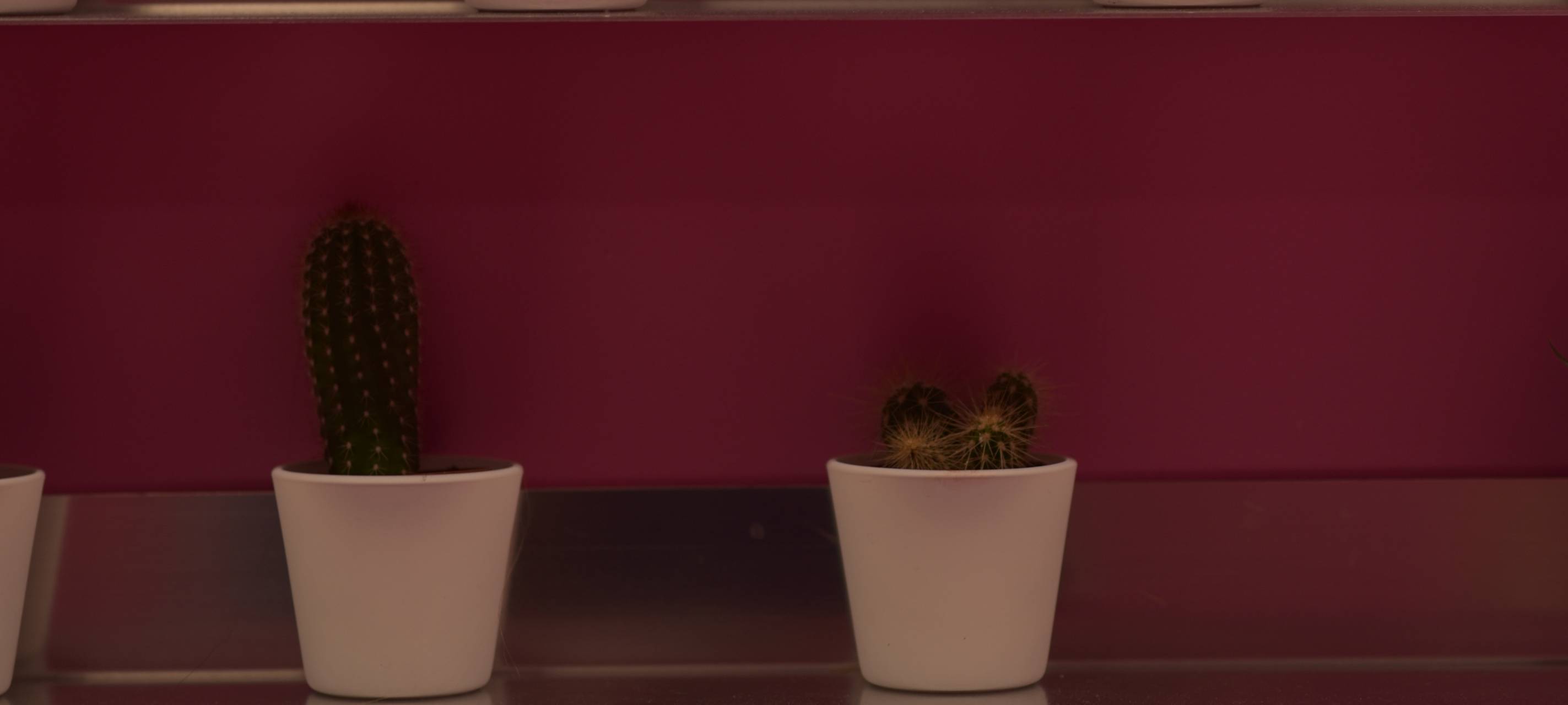 Herbst-Hits und Ferien-Tipps