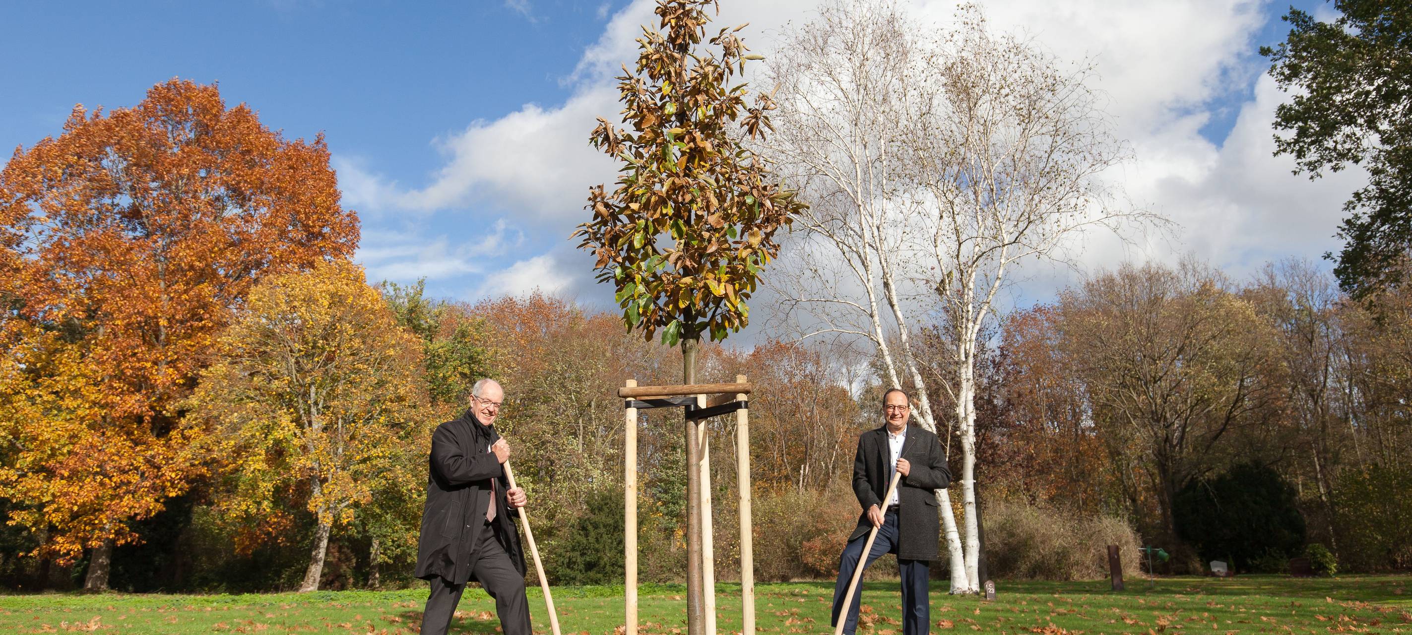 Mönchengladbacher Bürgerwald geht an den Start