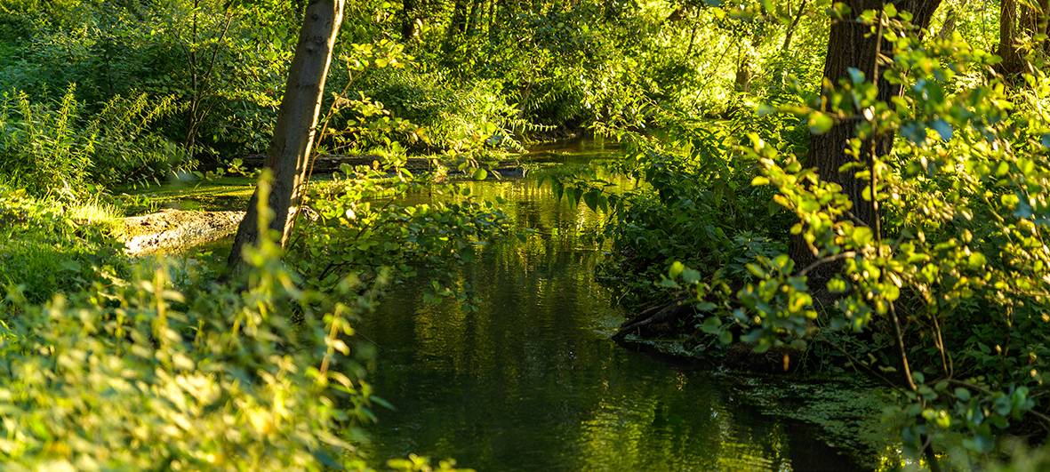Mönchenglabdach: Niers soll wieder natürlichem Verlauf folgen