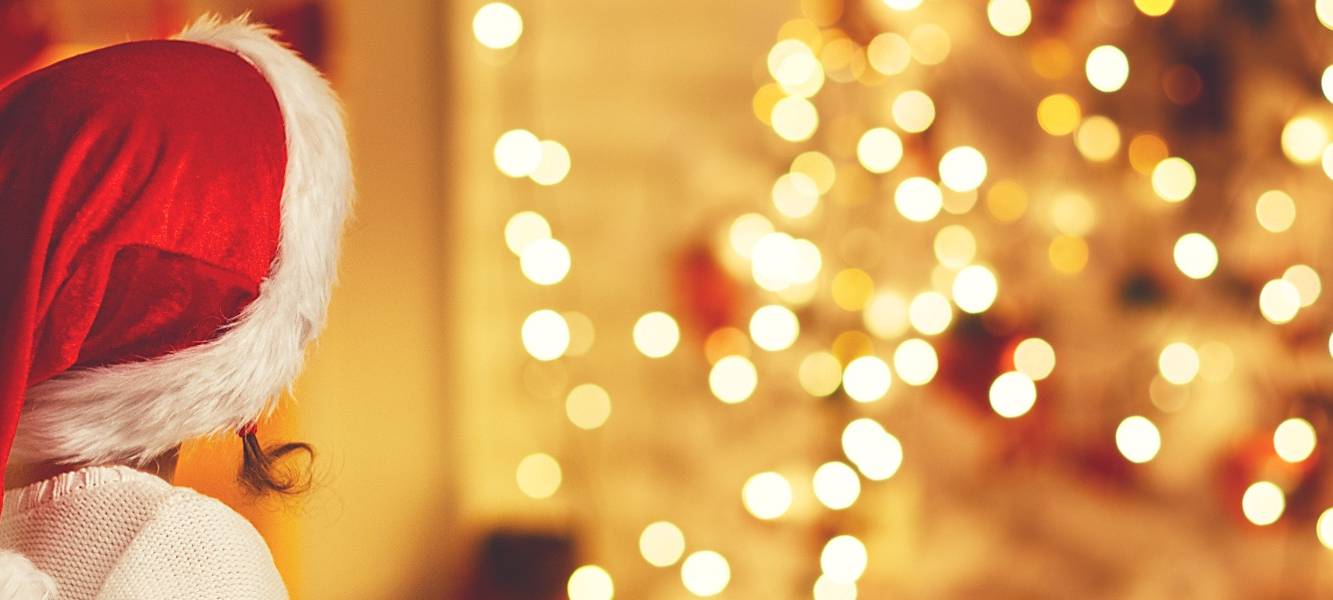 Weihnachtsgänse werden teurer