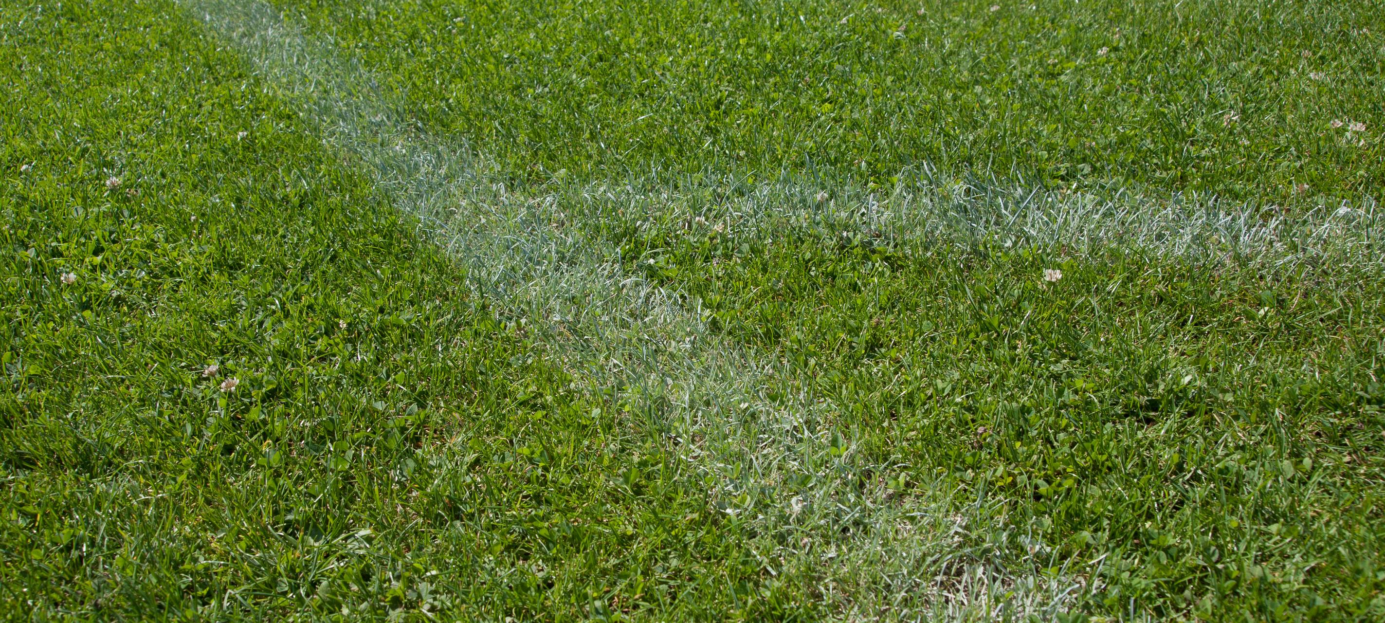 Borussia verpasst Auswärtssieg in den letzten Sekunden