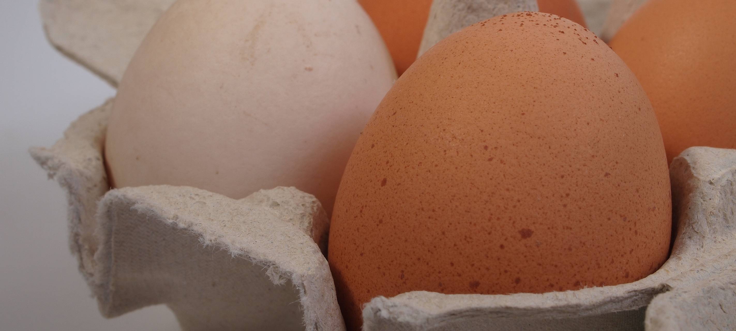 Weniger Eier aus unserer Region