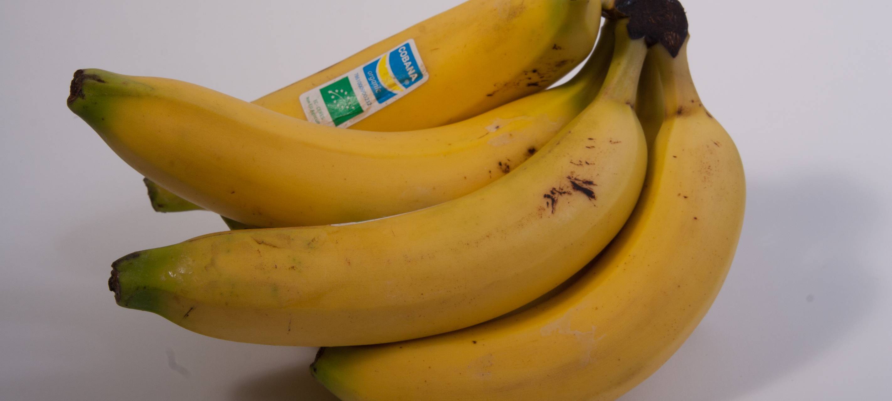 Immer mehr Kinder gehen ohne Frühstück in die Schule