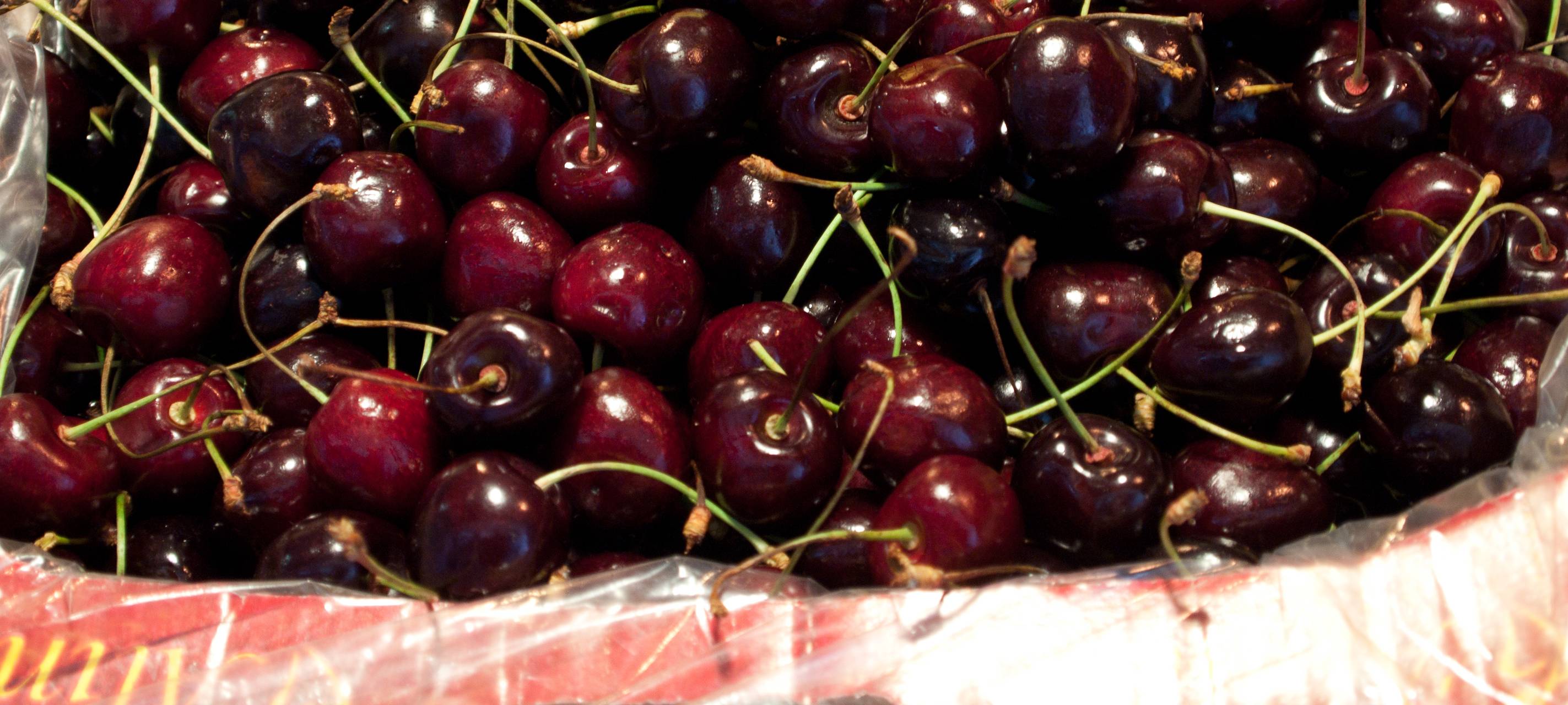 Obstbauern freuen sich über mehr Kirschen