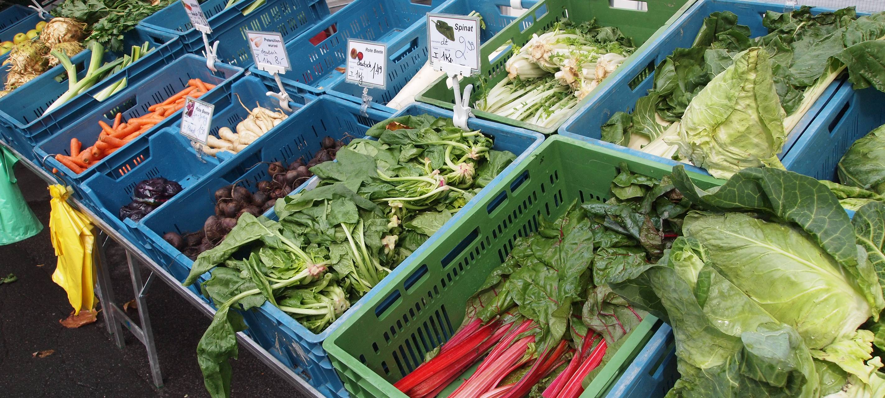 Schimmel in Lebensmitteln: Was muss komplett weg, welche Tipps gibt es