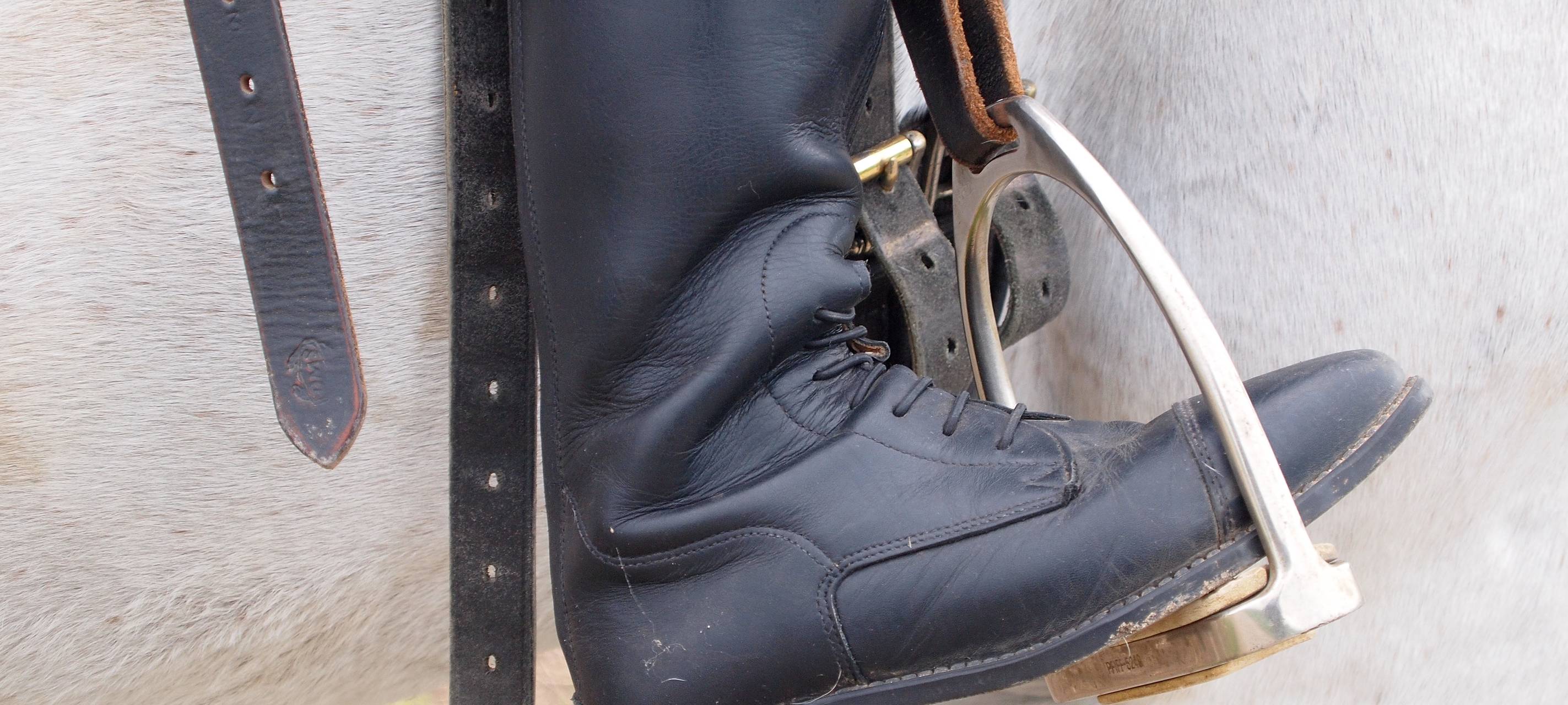 Pferde aus Mönchengladbach helfen - vor Ort und