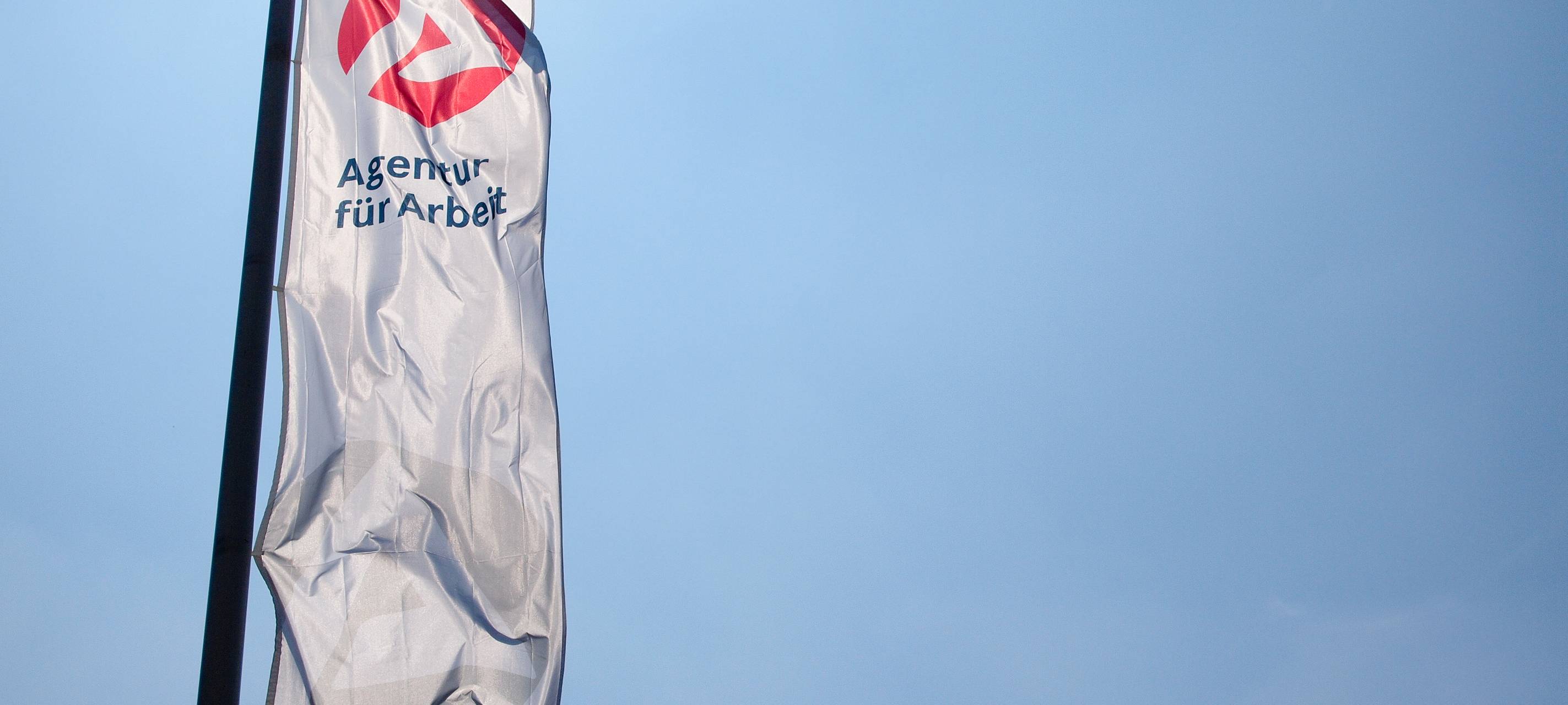 Online-Berufsberatung für Schüler