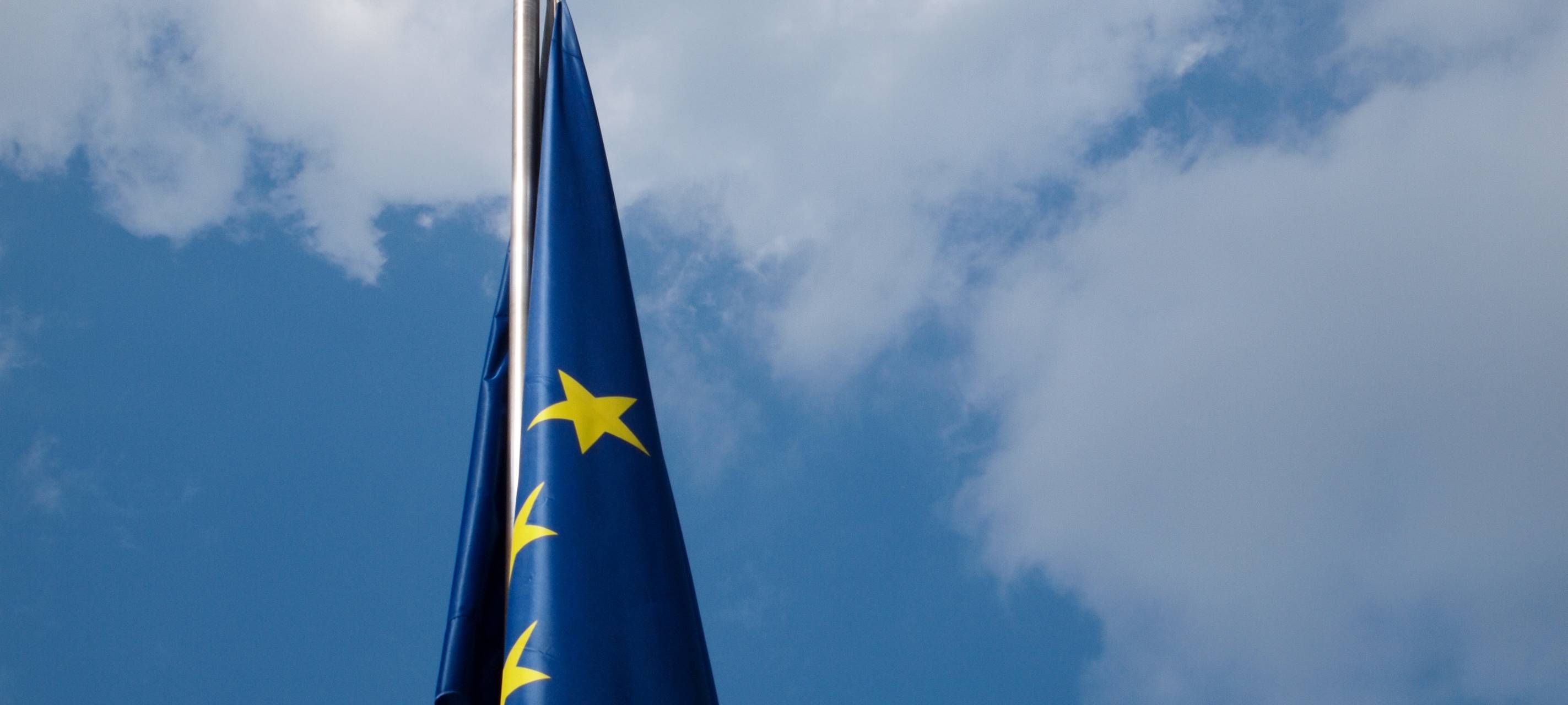 NPD muss Wahlplakate abhängen