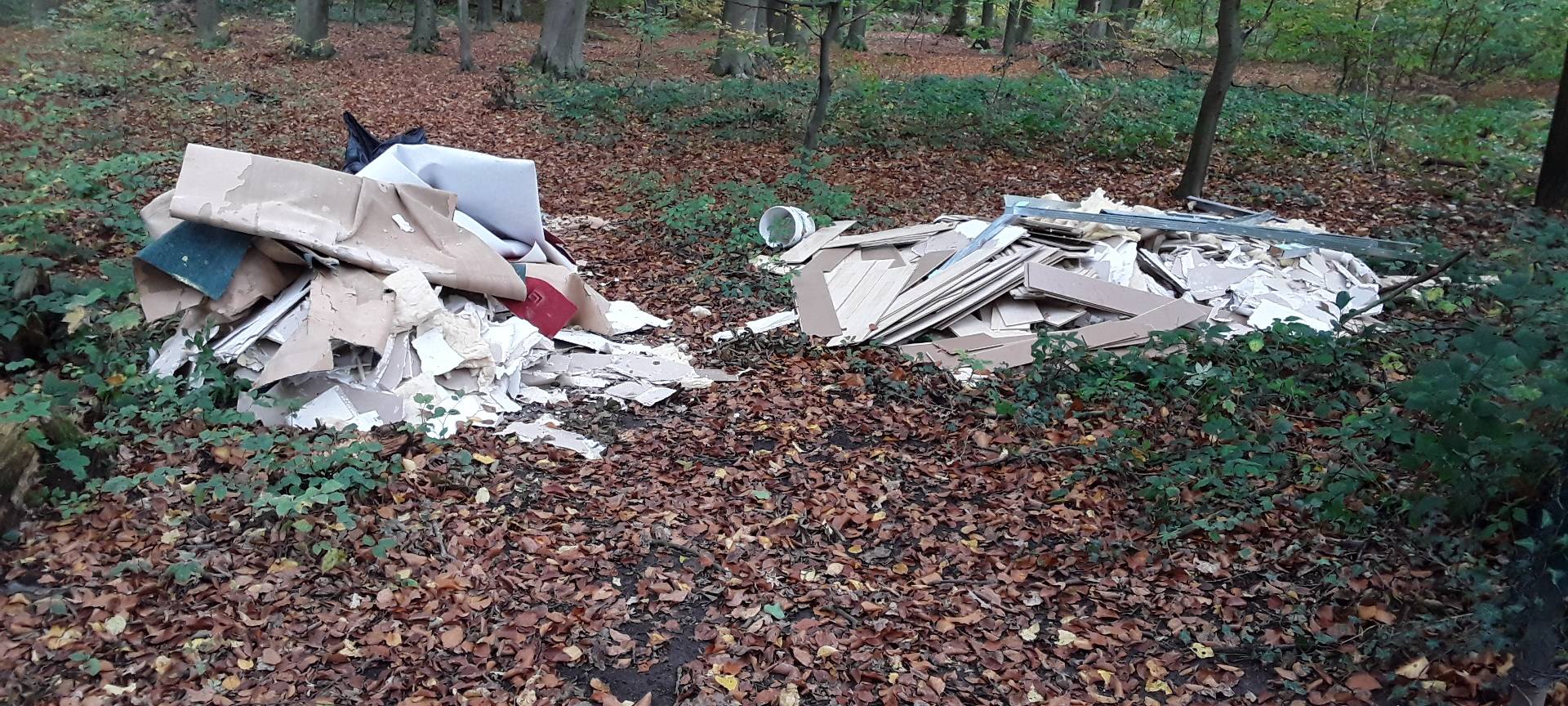 Mags findet Müllsünder