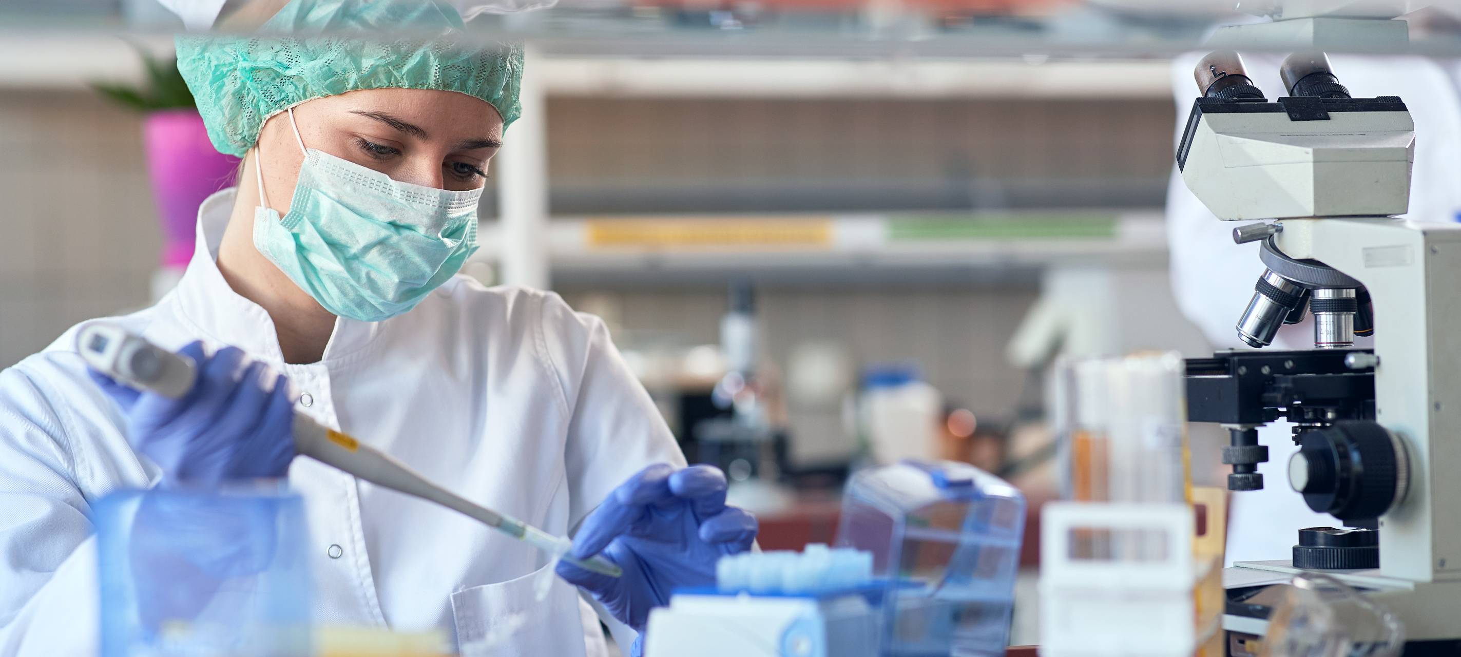 Verdacht auf Geflügelpest in Mönchengladbach