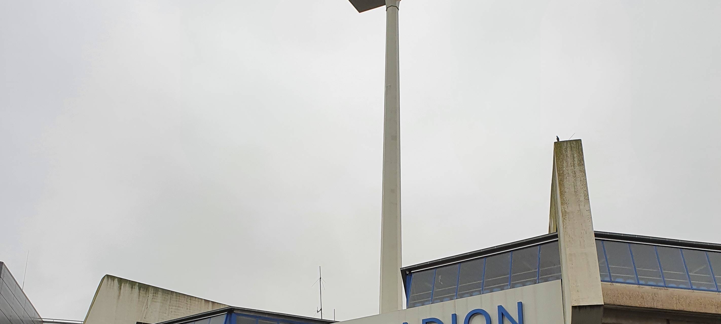 Borussia spielt auswärts in Bochum