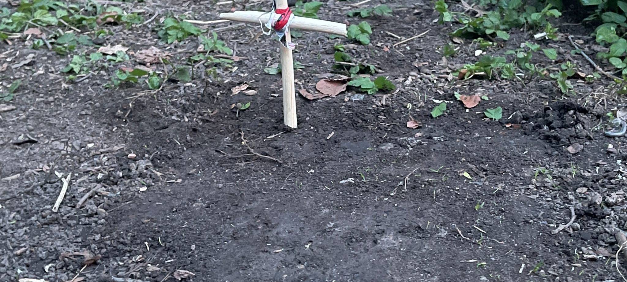 Toter Säugling: Lebend geboren, gewaltsam getötet