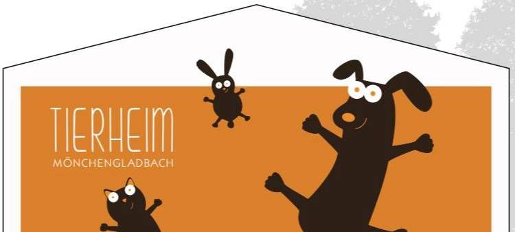 Katzen nach Einbruch in Tierheim verschwunden