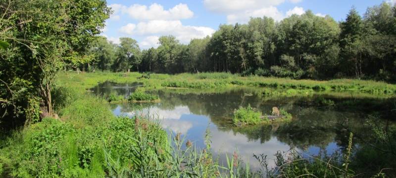 Flussbett der Niers renaturiert