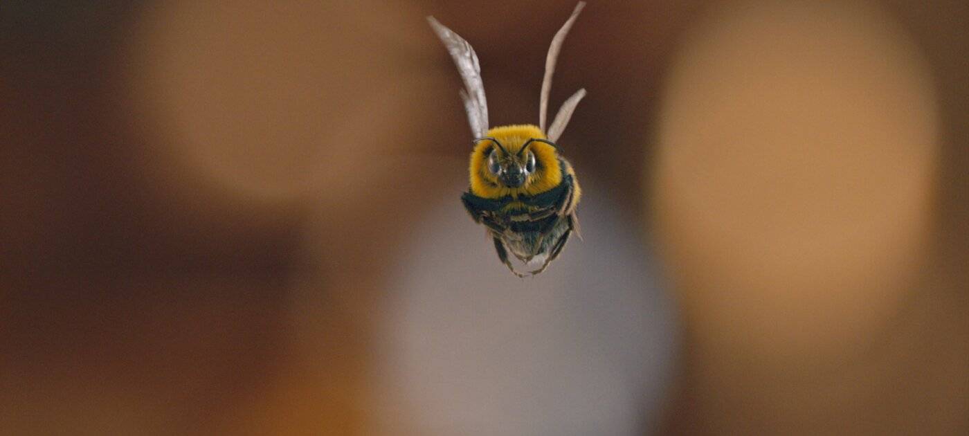 Trevors neuer Gegner.