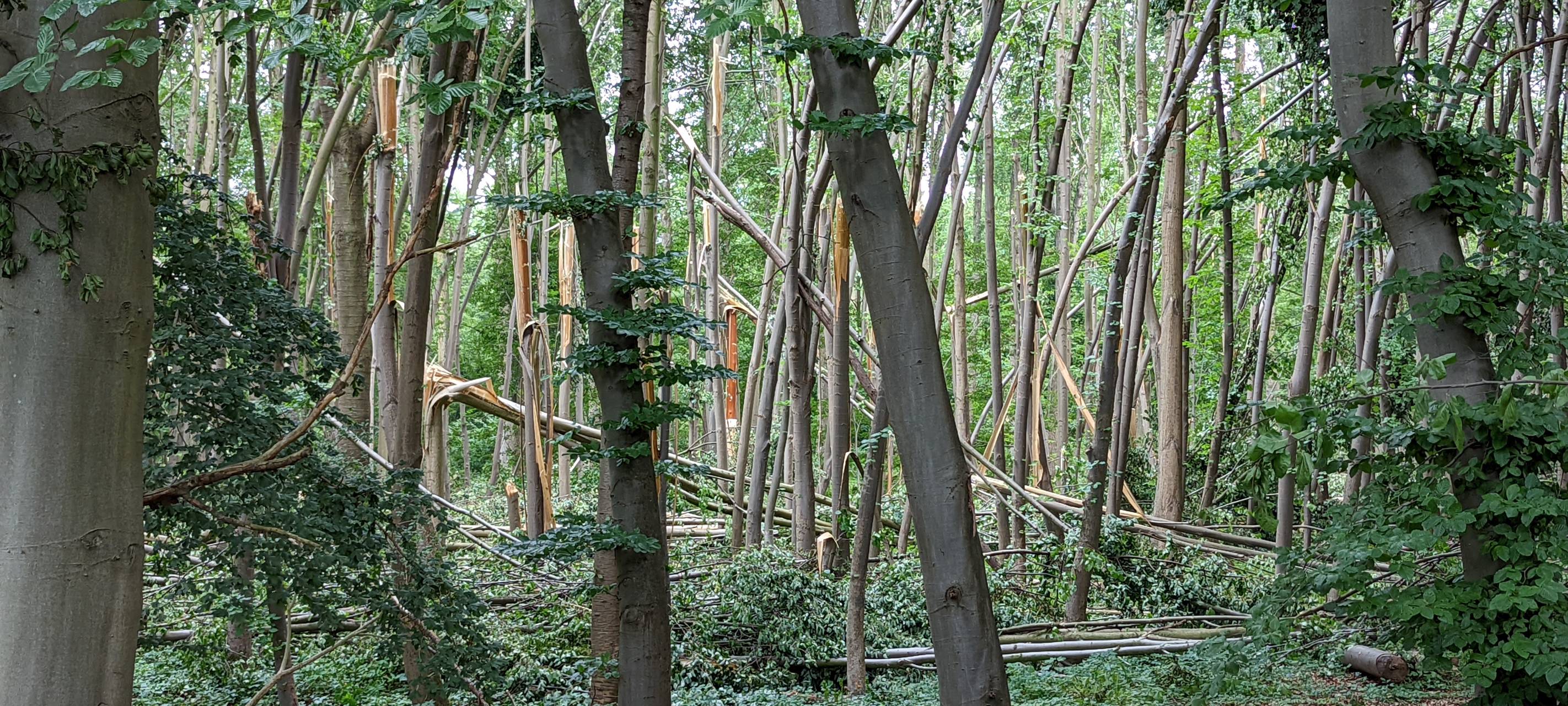 Unwetterwarnung für die Region