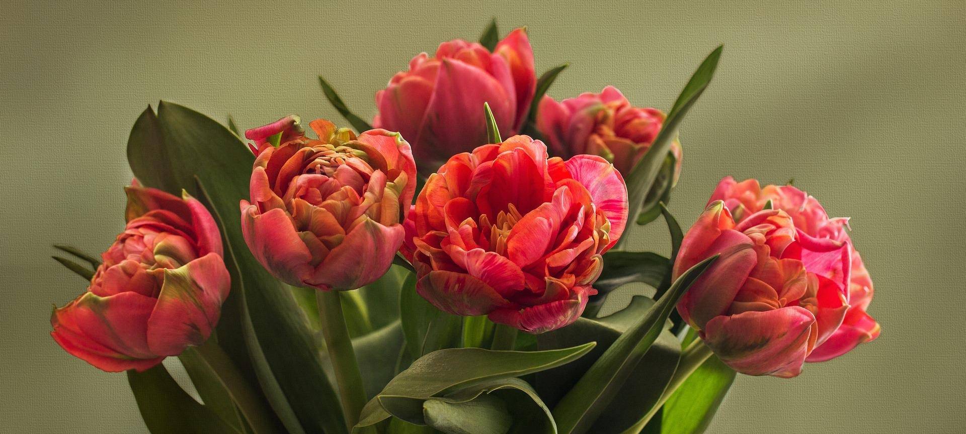 Floristen bekommen mehr Lohn