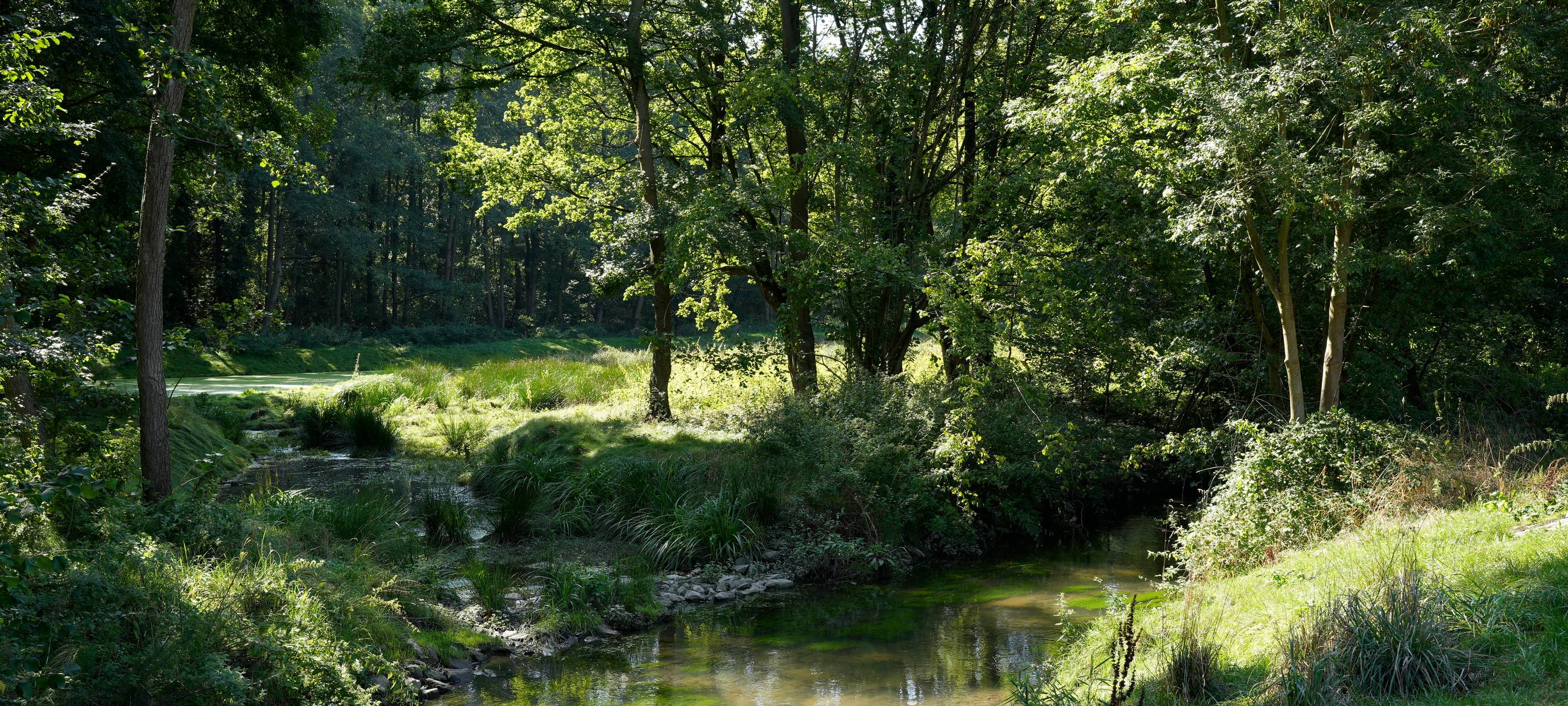Renaturierung der Niers ist für blauen Kompass nominiert